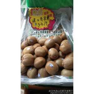 供应批发销售  猕猴桃 奇异果  进口水果