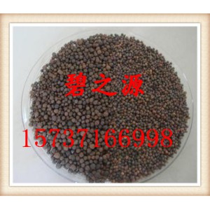 海宁直销陶粒滤料市场价格