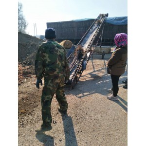 苗木装车中