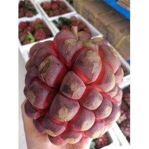 黑老虎（布福娜）鲜果