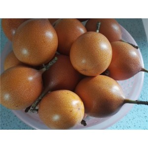 黄金百香果
