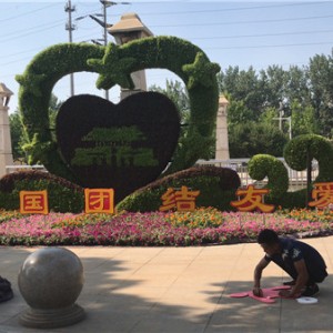 植物绿雕造型