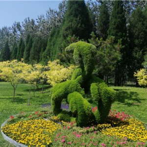 植物绿雕造型