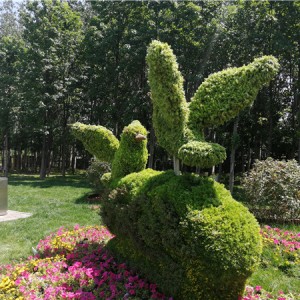 植物绿雕造型