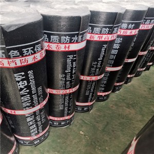 耐根穿刺SBS防水卷材