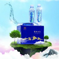 龙脉山泉430ml