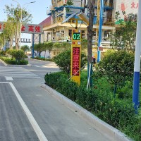 支路哨兵