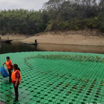 水生植物浮岛制作