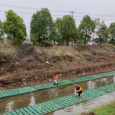 水生植物人工浮岛