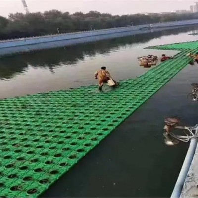 水生植物人工浮岛