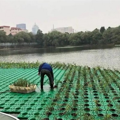 水生植物人工浮岛
