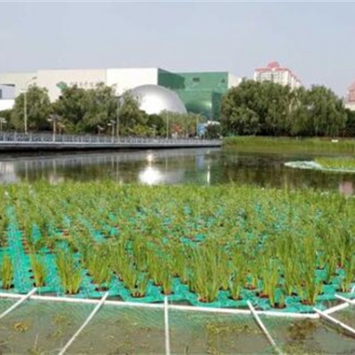 水生植物人工浮岛