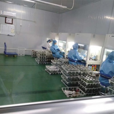 组培室建设