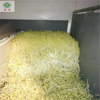 1000型全自动斗式豆芽机