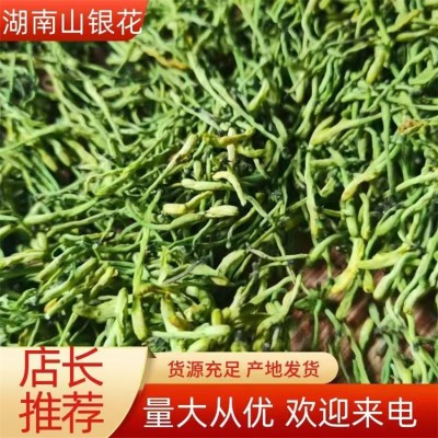 湖南山银花