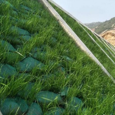 护坡绿化植生袋